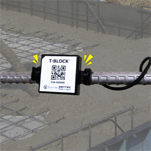 SANKO山高   无线混凝土温度传感器 T 型块